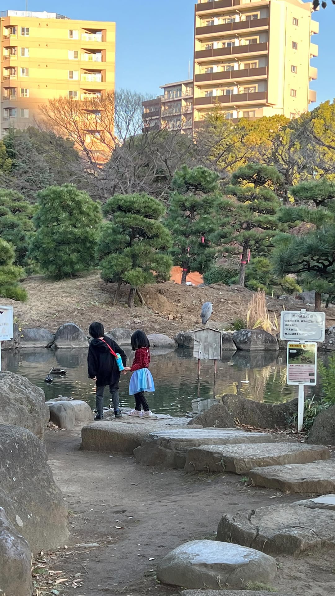 近所の公園で遊ぶ子どもたち