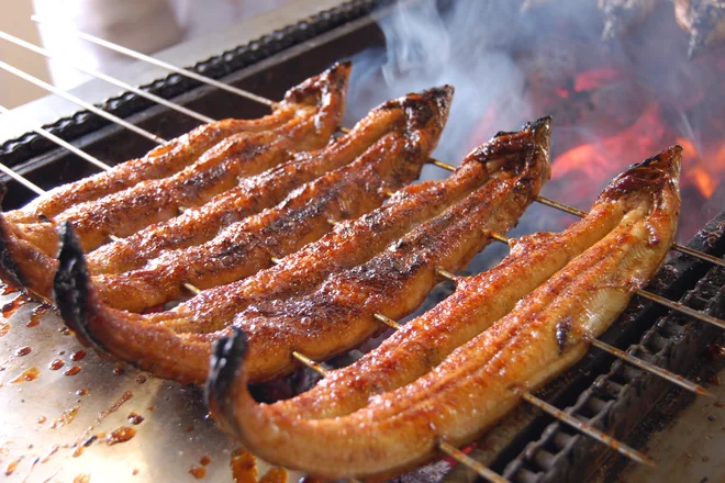 一色名物のうなぎ